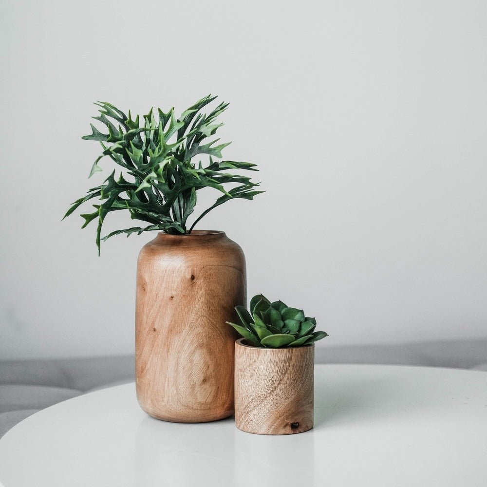 Decorative Plants